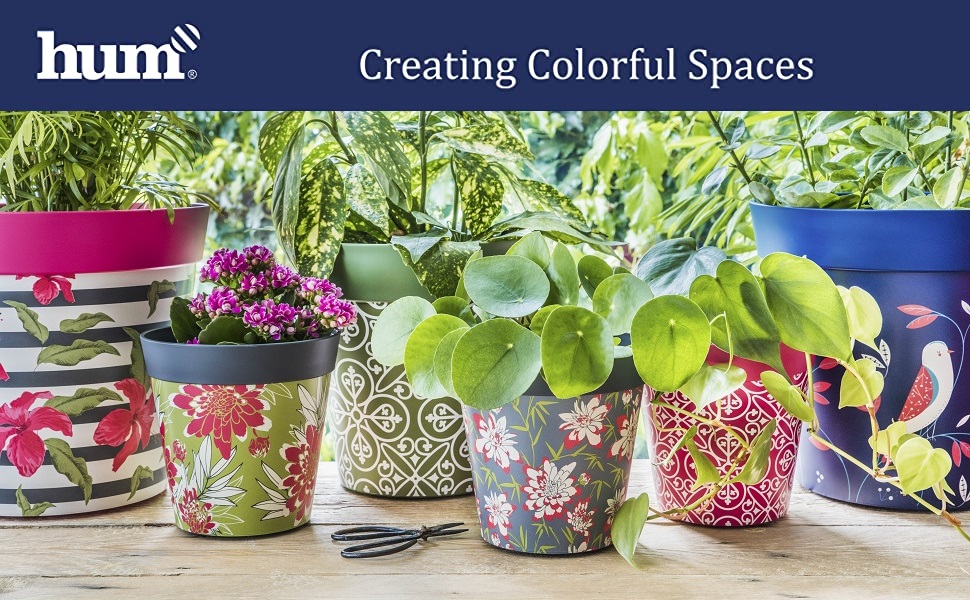 Hum Flowerpots, creating colourful spaces