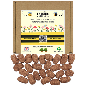 bee populaiton declining