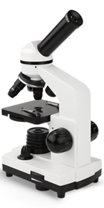 Microscope for Kids and Beginners