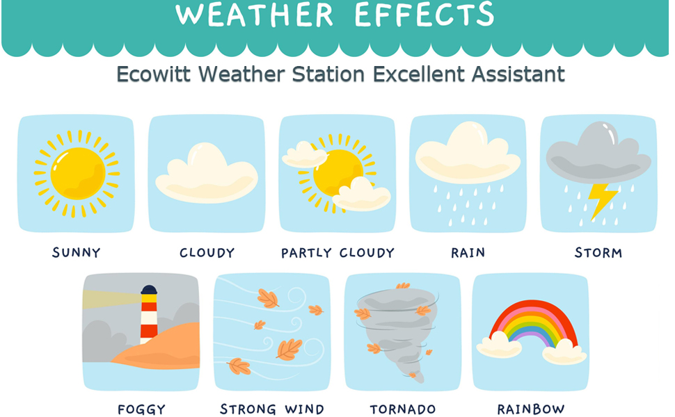 Ecowitt Weather Station