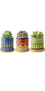 little plant pots
