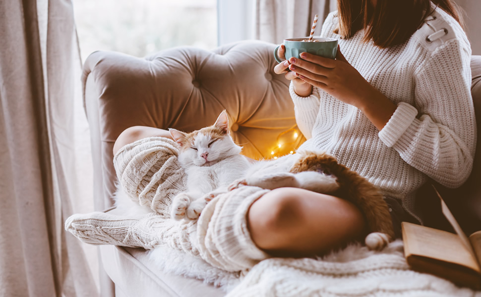 Homefront electric blankets dual controls