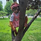 reborn baby monkey