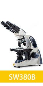 Binocular Microscope