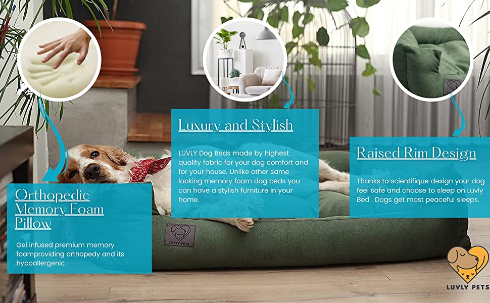 dog bed, large dog bed, orthopedic dog bed, memory foam dog bed, luvly pets