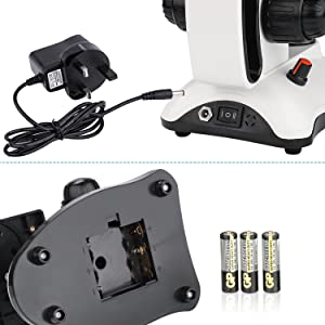 Dual LED lighting system