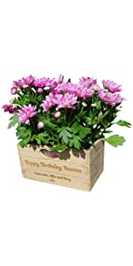 Personalised Garden Planter