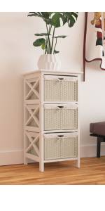 Storage Organizer with 3 Storage Baskets