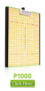 VIPARSPECTRA P1000 LED grow light