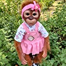 reborn baby monkey