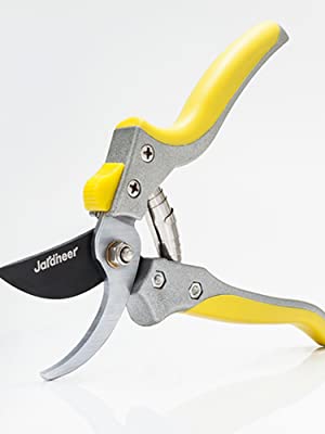 garden trimmers