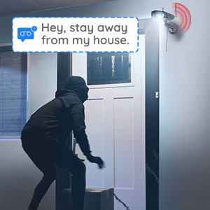 Motion Alerts