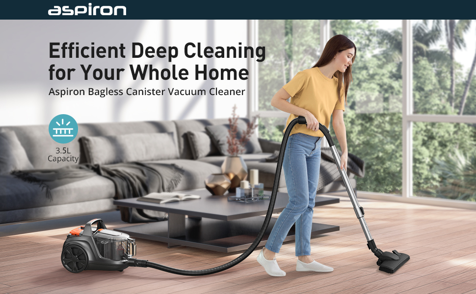 Efficient Deep Cleaning for Your Whole Home