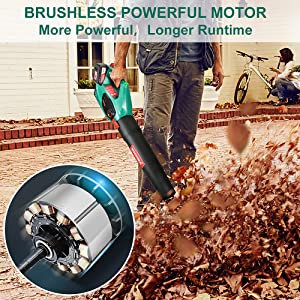 leaf blower, garden blower