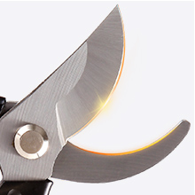 Pruning Shears