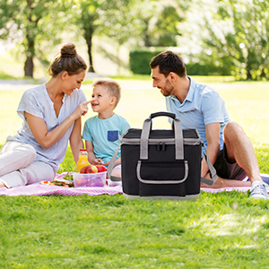 car cooler bag insulated