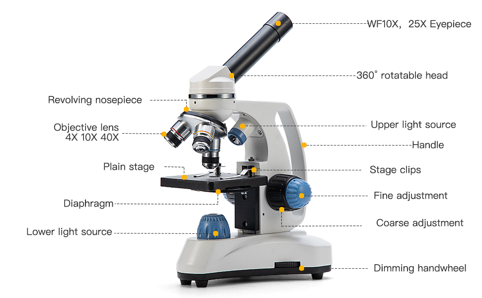 amscope microscope monocular compound telmu besser kids students lab image video digital camera