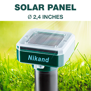 repellant rid remover trap kill today