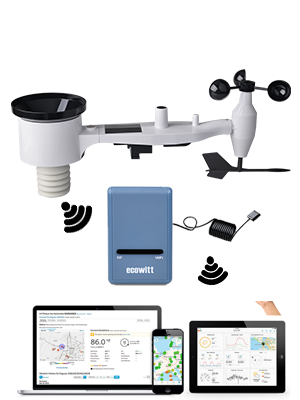 Ecowitt weather station