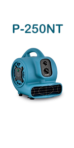 P-250NT