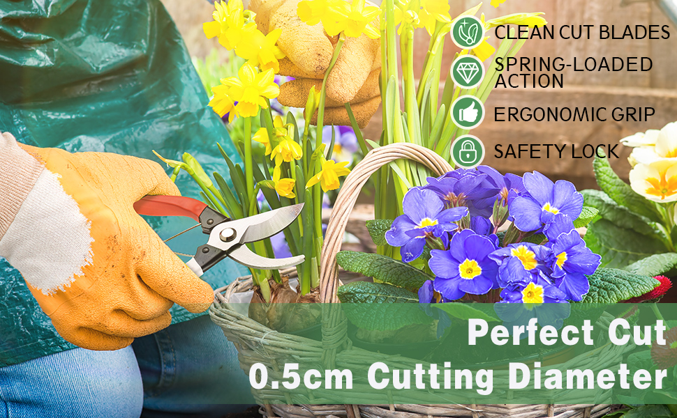 Pruning Shears