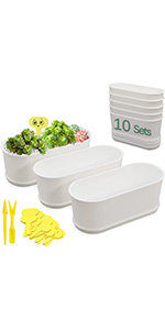 Window Planter Box Indoor