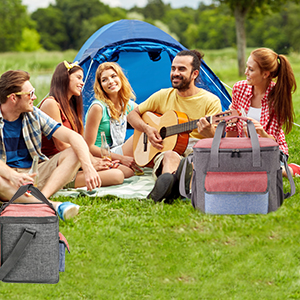 insulated lunch cooler bag 10l