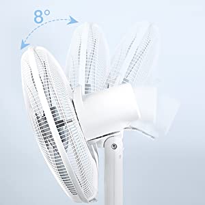 Easy to Adjust Height