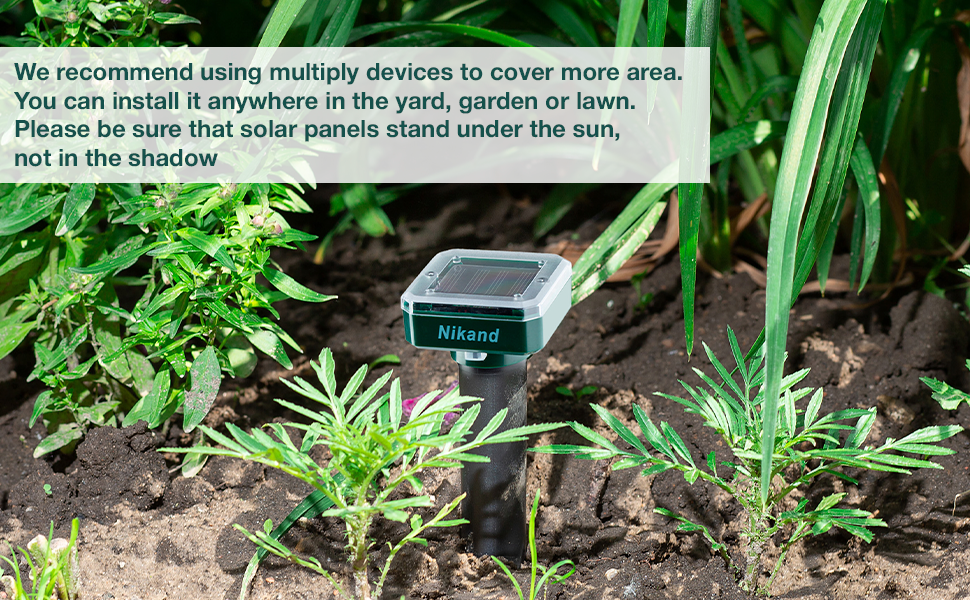 deterant pack motion dog spray pocket