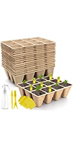 seed trays