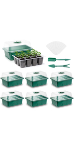 seeds tray