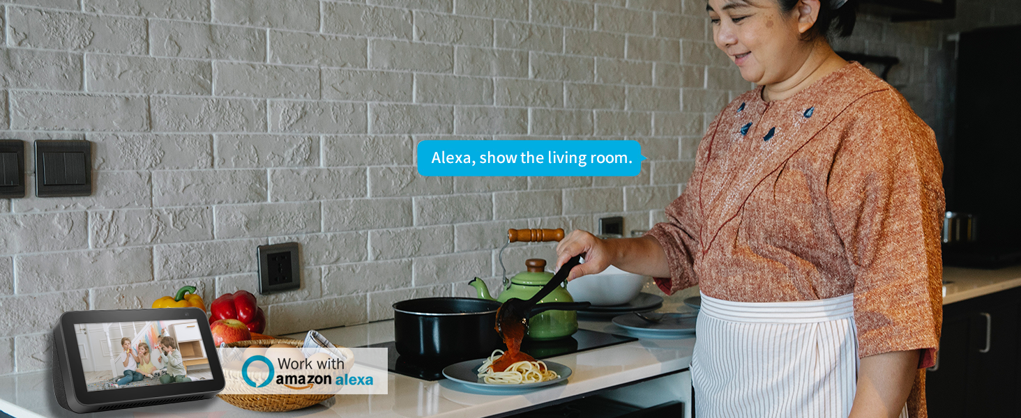 work with amazon alexa