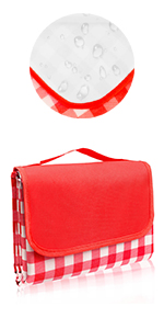 Red Checked Picnic Blanket