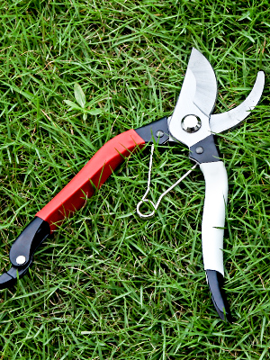 Gardening Pruning Shears