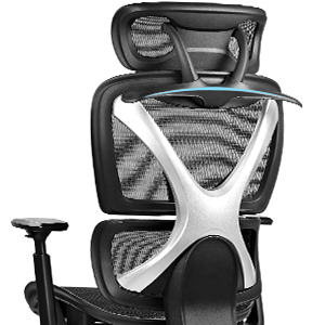 ACMELIFE Ergonomic Office Chair