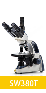 Trinocular Microscope