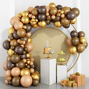 balloon arch kit