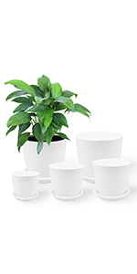 Plastic Plant Pots