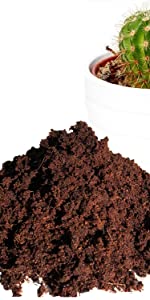 Cactus & Succulent Soil