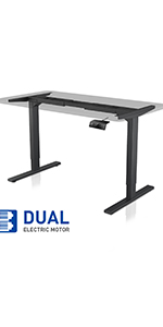 Dual Motor