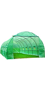 greenhouse