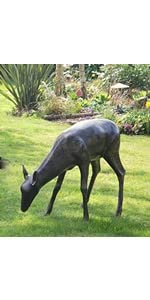 Grazing doe