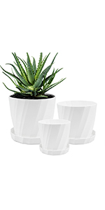 Plastic Plant Pots