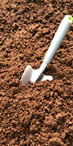 Cactus & Succulent Soil