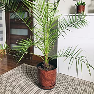 korad Wood Effect Plant Pots