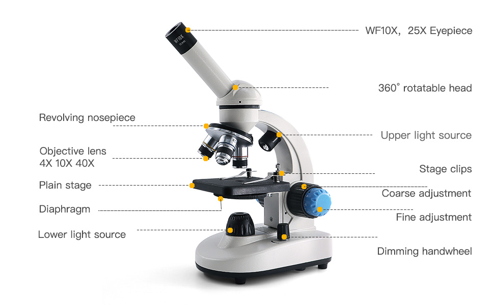 microscope
