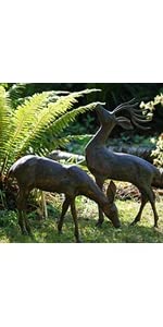 S1 Deer