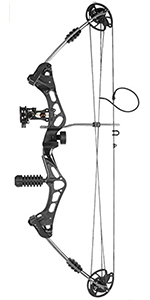 compound bow