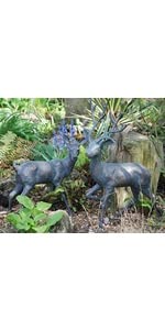 Size 3 Deer Set