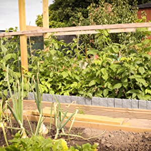 Lawn Edging
